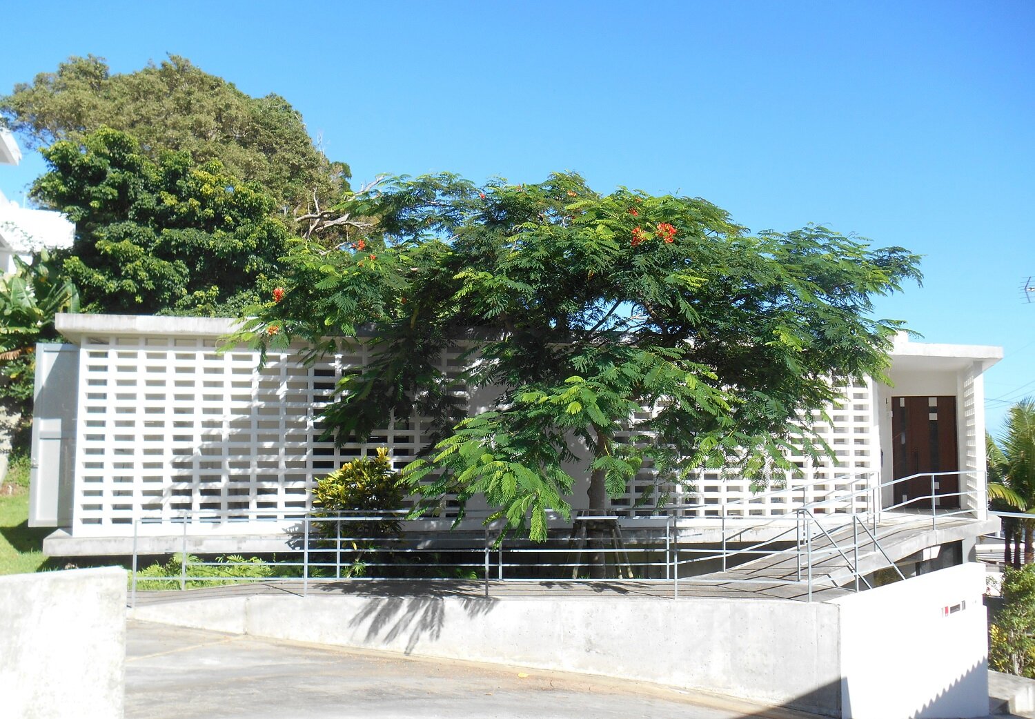 沖縄に移住して ～花ブロックとホウオウボク（鳳凰木）～ | 住まいの 